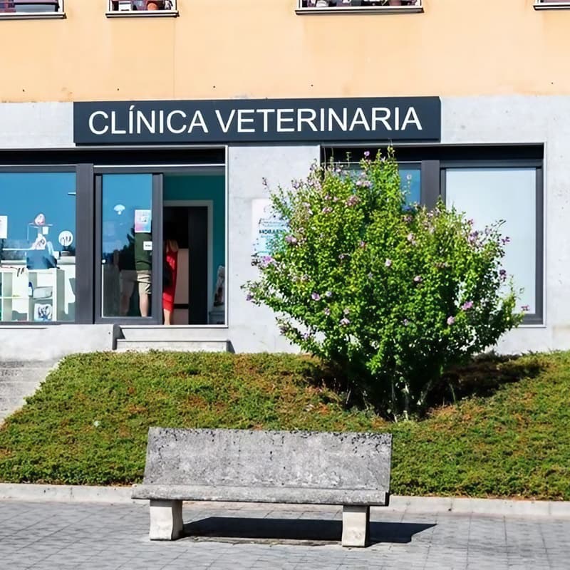 Fachada de la clínica veterinaria Ronroneos en Teo
