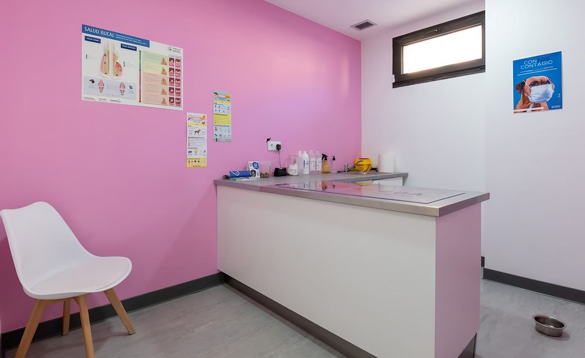 Clínica veterinaria Ronroneos en Teo - reserva cita