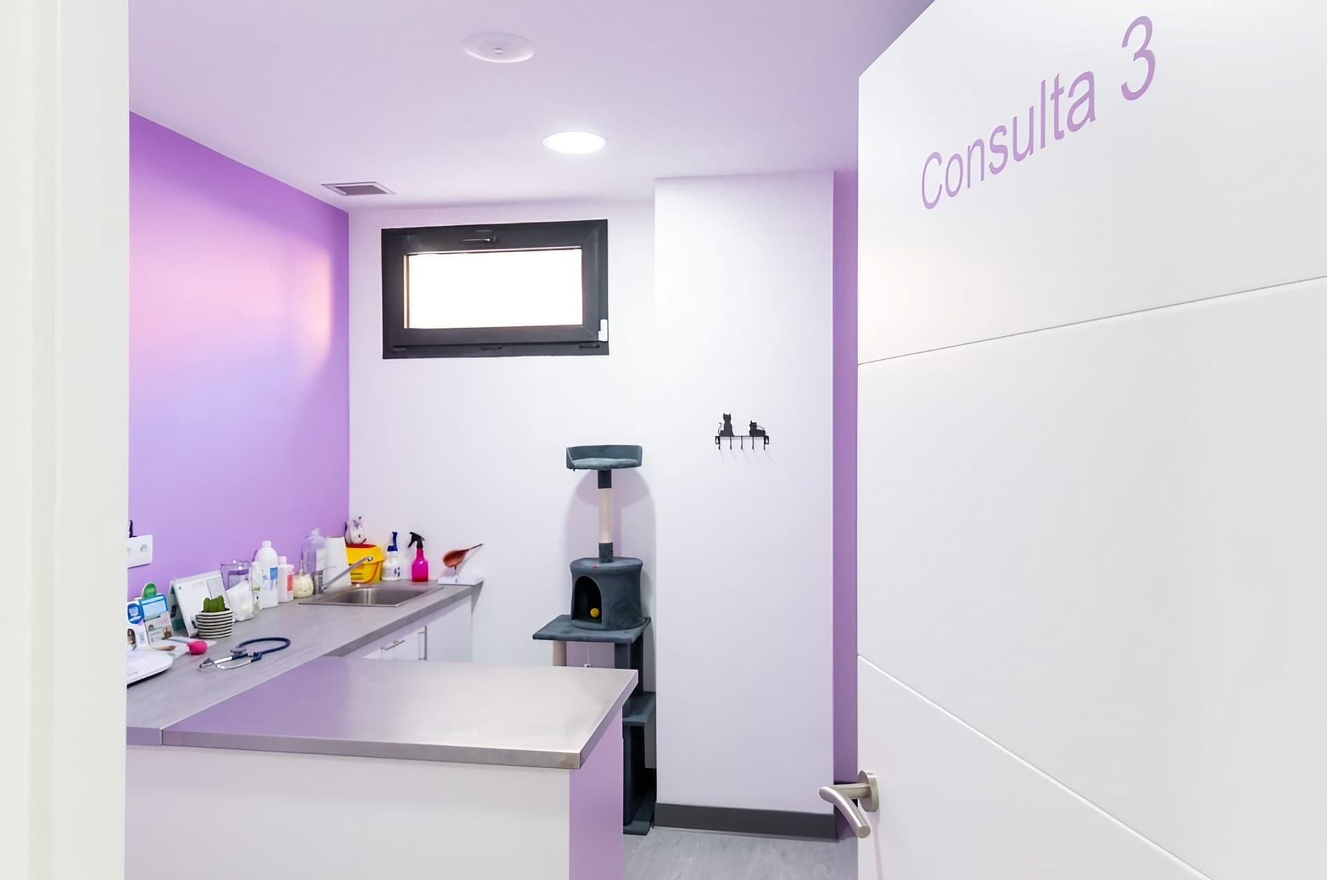 Urgencias veterinarias en Teo - Ronroneos Clínica Veterinaria